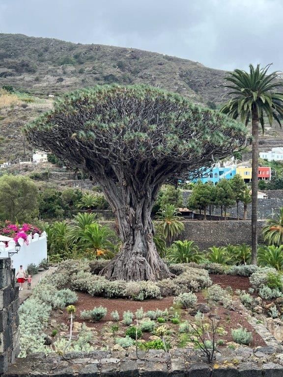 Copyright Ullrich Angersbach